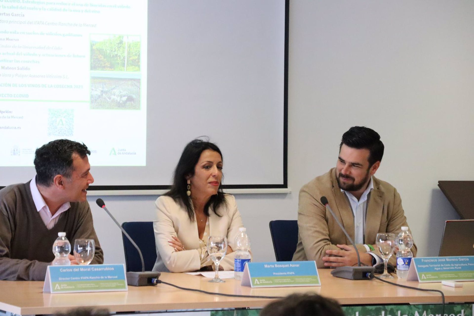 Ifapa Presenta En Jerez Un Proyecto Para Mejorar La Calidad De La Uva Y