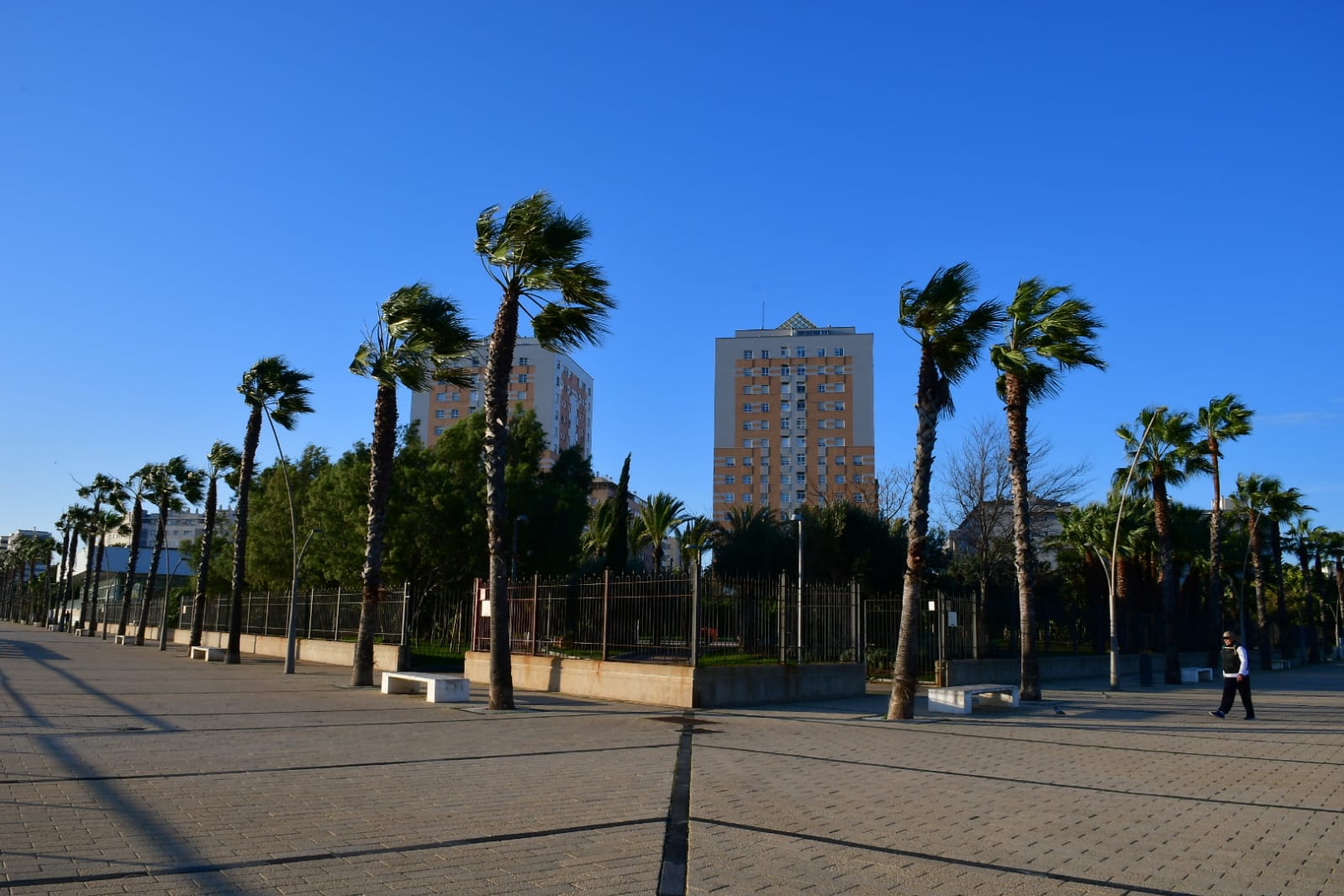 viento levante