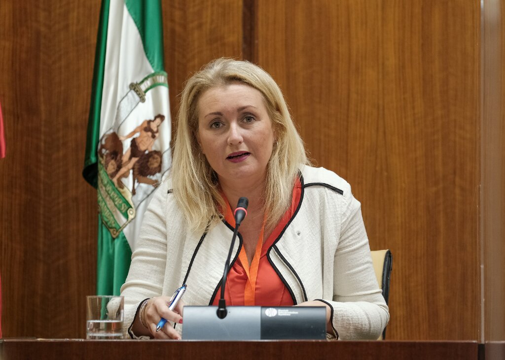  Laura Fernández, del Instituto Andaluz de la Mujer, interviene en la Subcomisión de Políticas Sociales y demás Servicios esenciales 