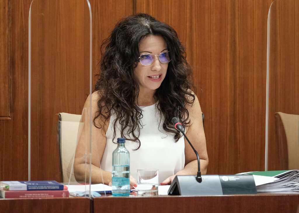 La consejera de Igualdad, Políticas Sociales y Conciliación, Rocío Ruiz, en la Comisión de su competencia