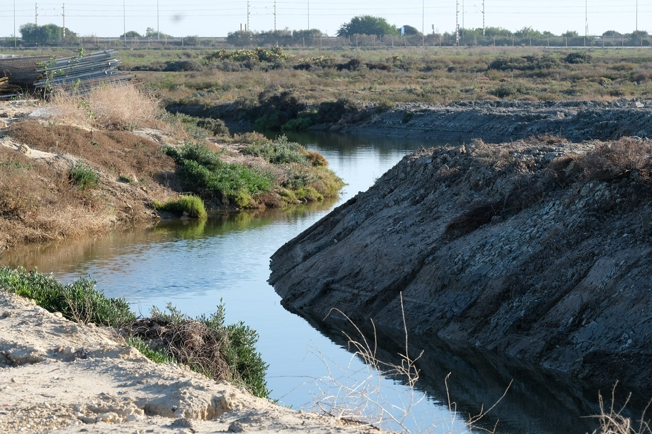 Parque Natural Bahía de Cádiz