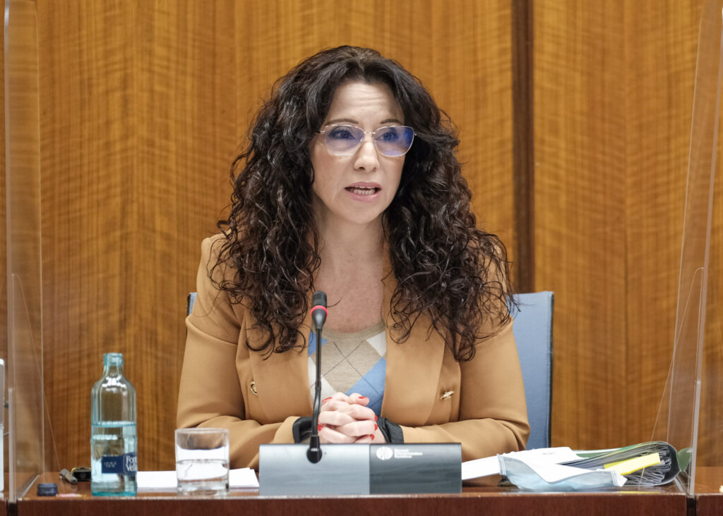La consejera de Igualdad, Políticas Sociales y Conciliación, Rocío Ruiz, inicia su comparecencia