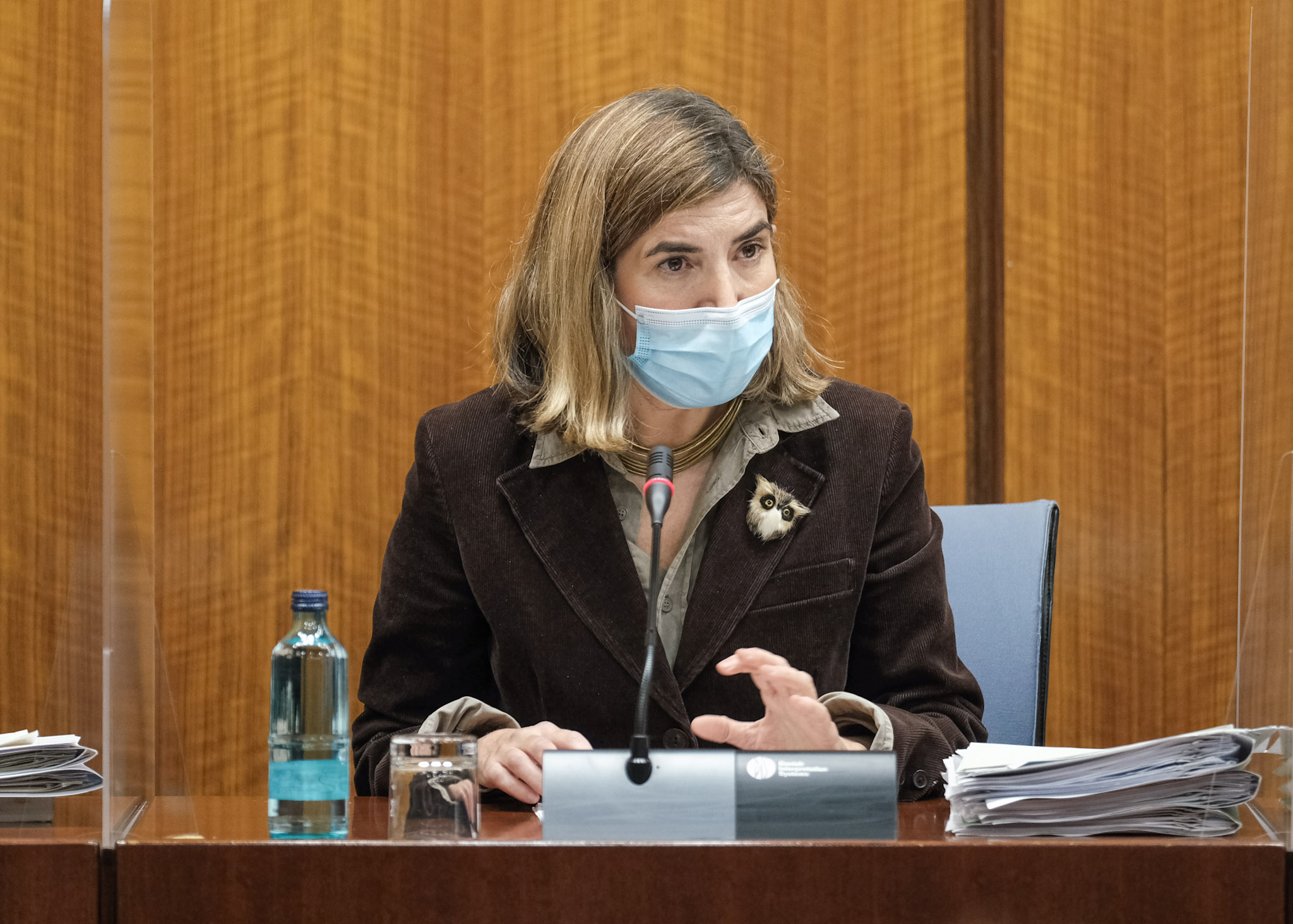 La consejera de Empleo, Formación y Trabajo Autónomo, Rocío Blanco