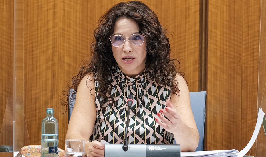 La consejera de Igualdad, Rocío Ruiz, durante su intervención en la comisión parlamentaria.