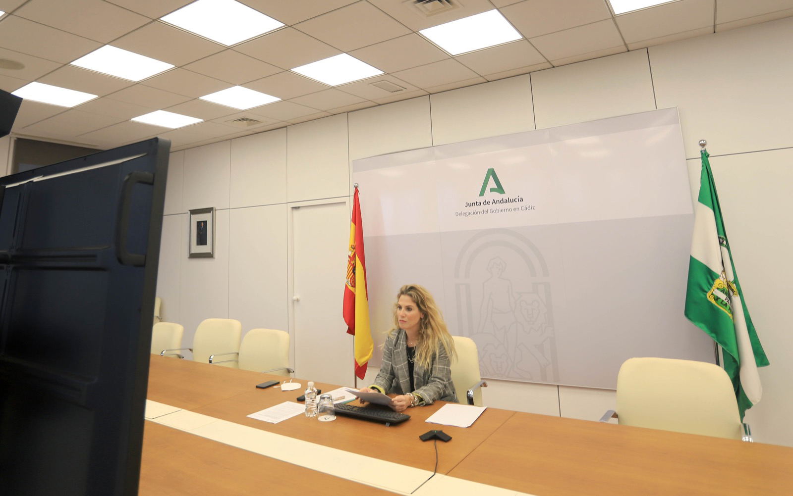 Ana Mestre