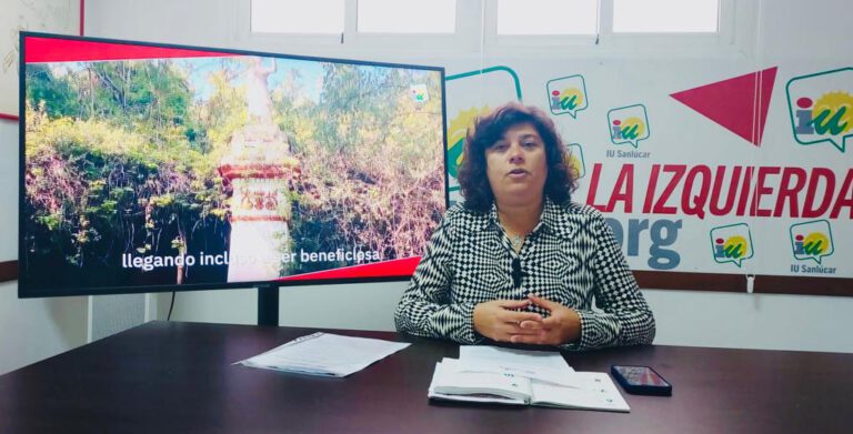 Carmen Álvarez