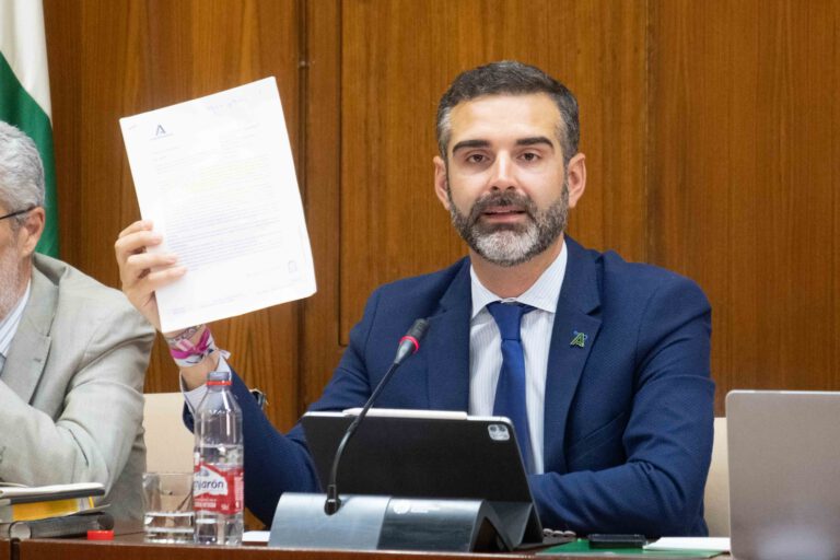 Ramón Fernández- Pacheco