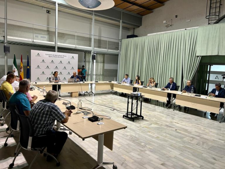 Andalucía estudia habilitar ayudas para los afectados por el fin del acuerdo con Marruecos Andalucía estudia habilitar ayudas para los afectados por el fin del acuerdo con Marruecos