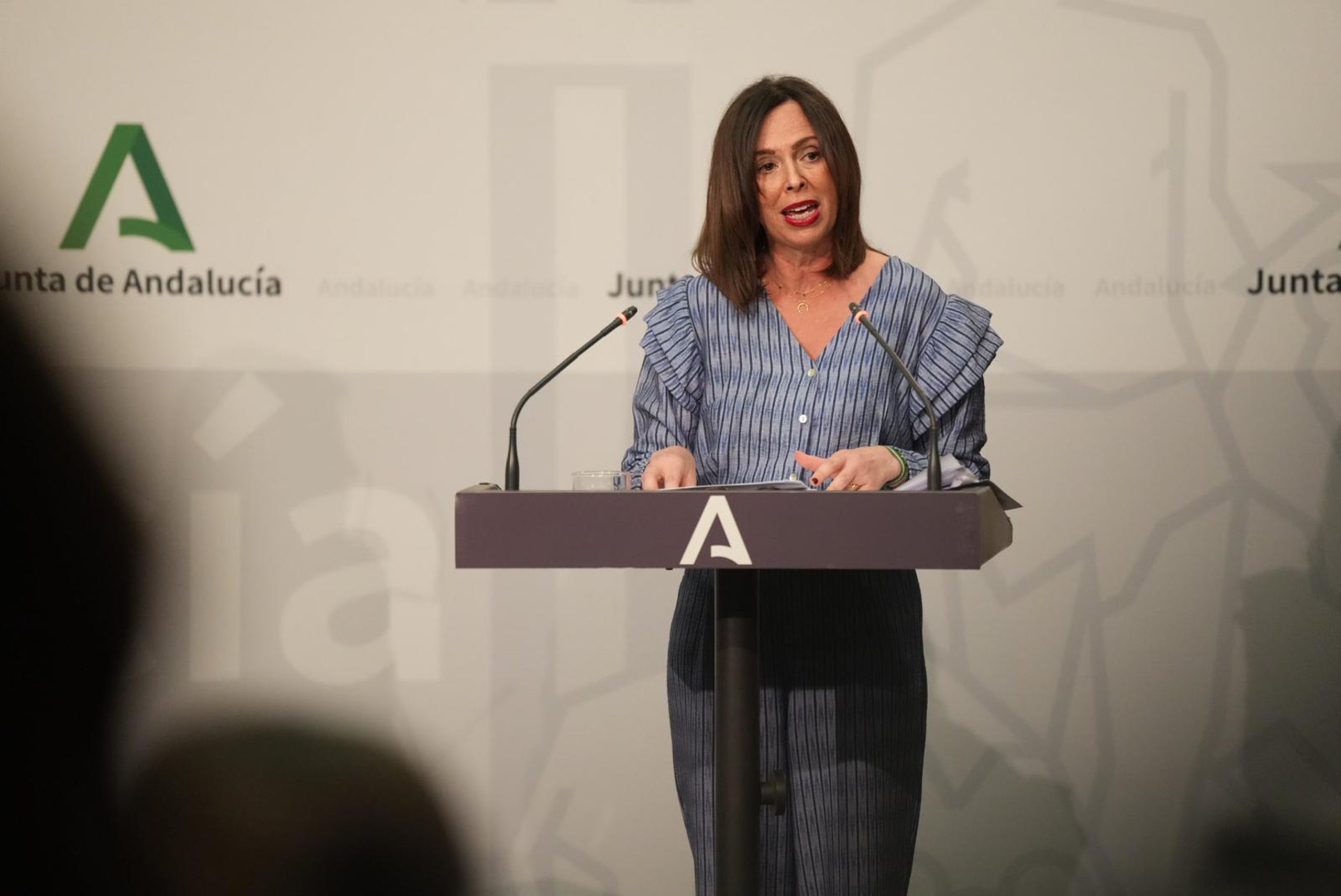 La Junta aprueba un decreto ley de medidas urgentes para construir más ...