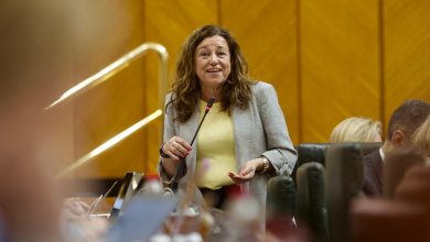 María del Carmen Castillo