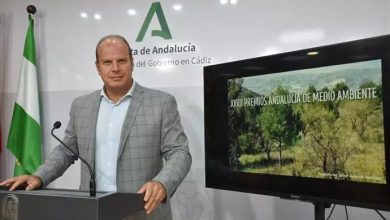 Óscar Curtido