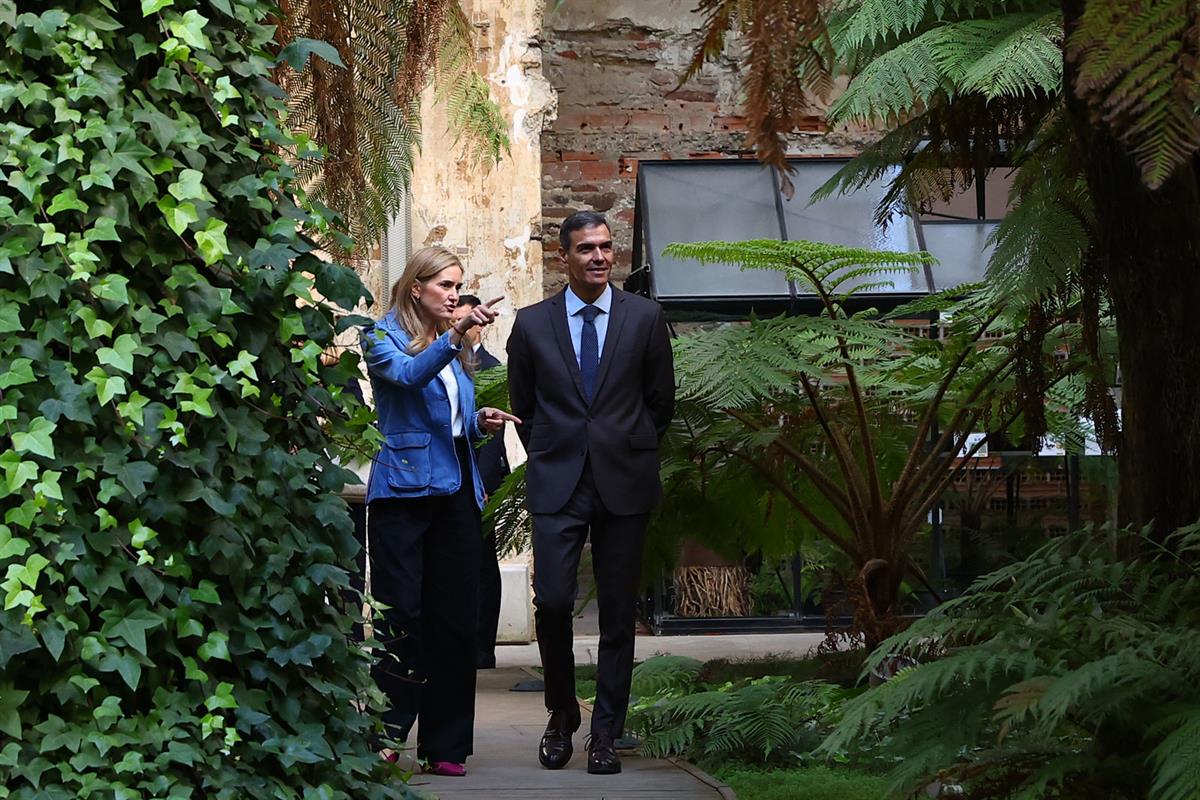Pedro Sánchez llama a la unidad para forjar un Pacto de Estado frente a ...