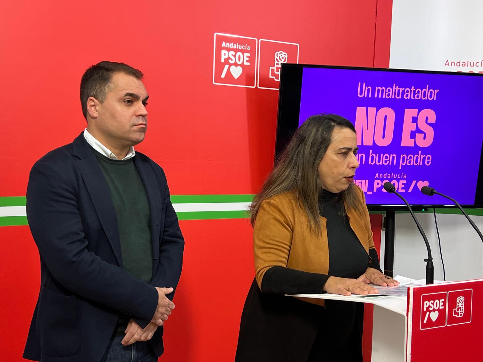 El PSOE de Cádiz reivindica en el 25N la lucha contra la violencia ...